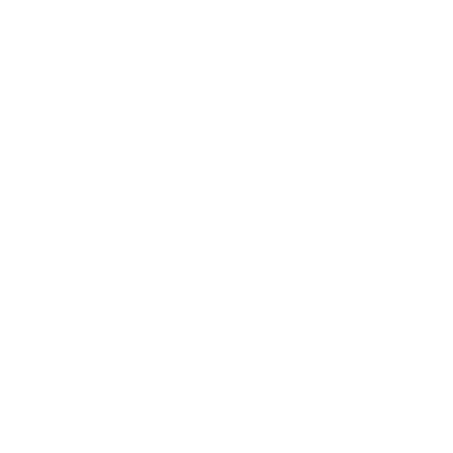 Fast Delivery