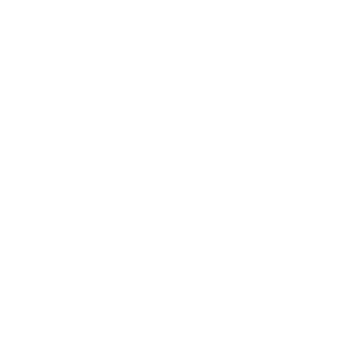 Expert Workers